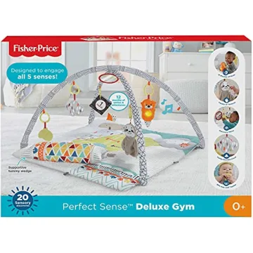 Fisher-Price Playmat with Tummy Time Wedge for Newborns