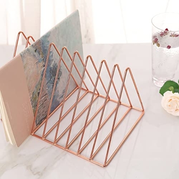 Sooyee 9-Slot Rose Gold Magazine Holder for Home Office