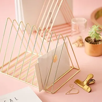 Sooyee 9-Slot Rose Gold Magazine Holder for Home Office