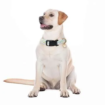 Gelwoo Dog Collars with Buckle Adjustable for Cute Girl Female Boy Dogs,Special Soft and Fancy Dog Pet Collar with Flower Design for Small Medium Large Dogs (S, Cyan-Daisy)