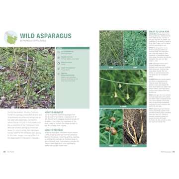 Foraging: Explore Nature's Bounty and Turn Your Foraged Finds Into Flavorful Feasts (Outdoor Adventure Guide)