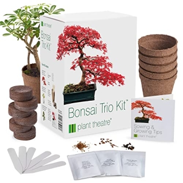 Plant Theatre Bonsai Tree Kit - Indoor Plant Growing Kit w/ 3 Mini Bonsai Seed Packs, 6 Pots, 6 Peat...
