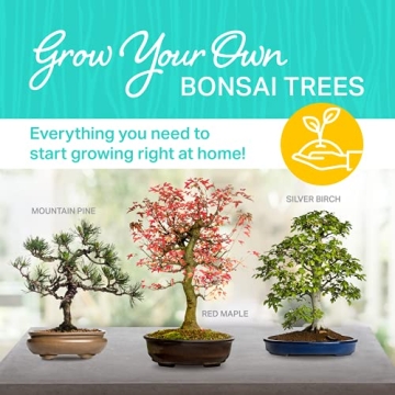 Plant Theatre Bonsai Tree Kit for Gardening Enthusiasts