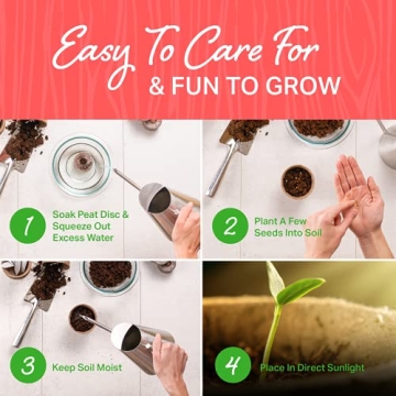 Plant Theatre Bonsai Tree Kit for Gardening Enthusiasts