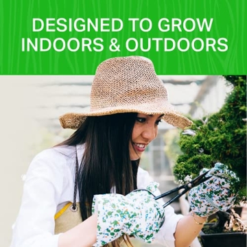 Plant Theatre Bonsai Tree Kit for Gardening Enthusiasts