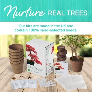 Plant Theatre Bonsai Tree Kit for Gardening Enthusiasts