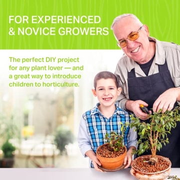 Plant Theatre Bonsai Tree Kit for Gardening Enthusiasts