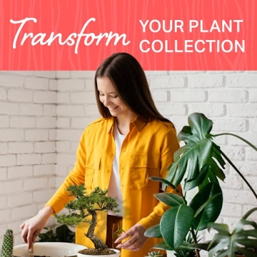 Plant Theatre Bonsai Tree Kit for Gardening Enthusiasts