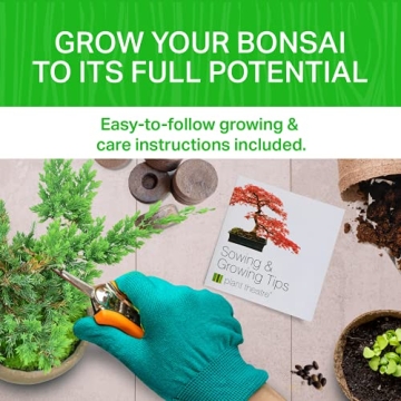 Plant Theatre Bonsai Tree Kit for Gardening Enthusiasts