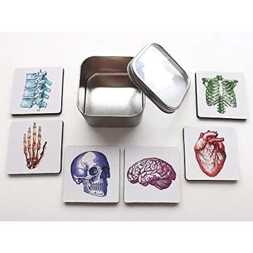 colorful Anatomy set of 4 or 6 Coasters 3.5 inch human body brain skull anatomical heart medical gra...