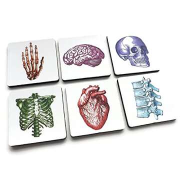 colorful Anatomy set of 4 or 6 Coasters 3.5 inch human body brain skull anatomical heart medical graduation