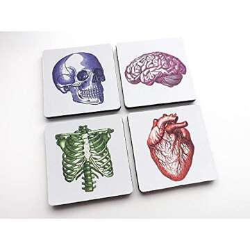 colorful Anatomy set of 4 or 6 Coasters 3.5 inch human body brain skull anatomical heart medical graduation
