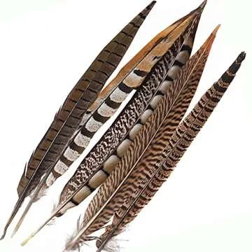 Natural Pheasant Feathers for Crafts and Décor 12pcs