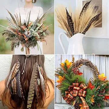 Natural Pheasant Feathers for Crafts and Décor 12pcs