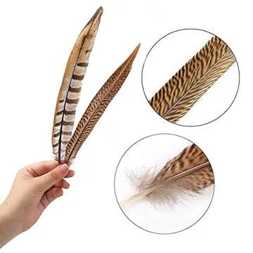 Natural Pheasant Feathers for Crafts and Décor 12pcs