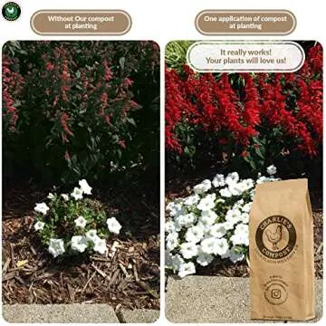 Charlie's Compost - Odor Free Organic Fertilizer for Home Gardens, Raised Beds, Containers, Seed Starting Mix, Natural Soil Amendment with Biochar 10lb