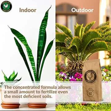 Charlie's Compost - Odor Free Organic Fertilizer for Home Gardens, Raised Beds, Containers, Seed Starting Mix, Natural Soil Amendment with Biochar 10lb