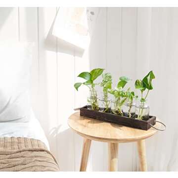 Dahey Plant Propagation Stations with Wooden Box