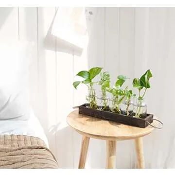 Dahey Plant Propagation Stations with Wooden Box