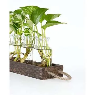 Dahey Plant Propagation Stations with Wooden Box