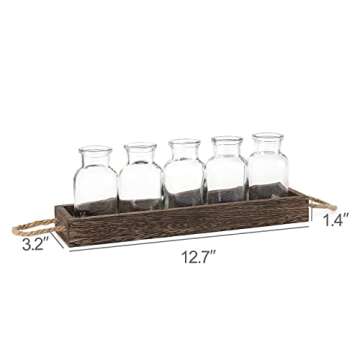 Dahey Plant Propagation Stations with Wooden Box