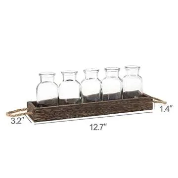Dahey Plant Propagation Stations with Wooden Box