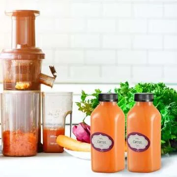 DilaBee 16 Oz Plastic Juice Bottles – 12 Pack Hydration Solution