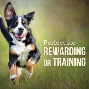 Merrick Power Bites Natural Soft And Chewy Real Meat Dog Treats, Grain Free Snack With Real Beef Recipe - 6 oz. Bag