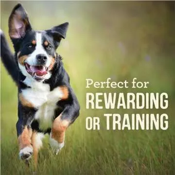 Merrick Power Bites Natural Soft And Chewy Real Meat Dog Treats, Grain Free Snack With Real Beef Recipe - 6 oz. Bag