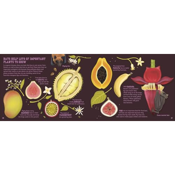 The Bat Book Inspires Young Readers About Nature