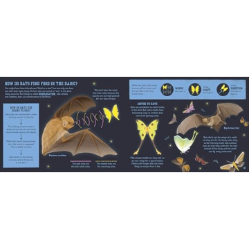 The Bat Book Inspires Young Readers About Nature
