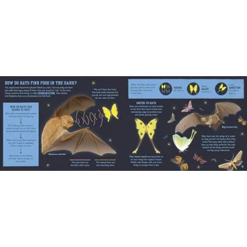 The Bat Book Inspires Young Readers About Nature