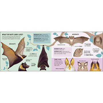 The Bat Book Inspires Young Readers About Nature