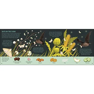 The Bat Book Inspires Young Readers About Nature