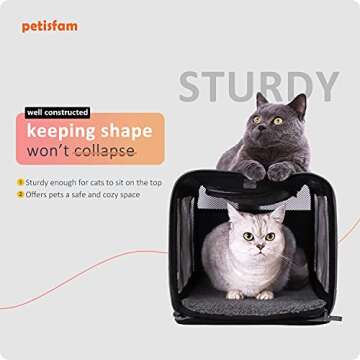 petisfam Large Soft Cat Carrier Bag for Cats Under 25 lbs. Easy to Load and Store. Safe and Comfortable