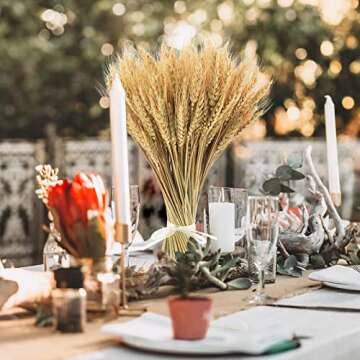 Phliofd Dried Wheat Stalks for Weddings & Decor