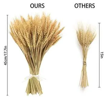 Phliofd Dried Wheat Stalks for Weddings & Decor