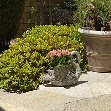 Urban Designs Swan Planter - Elegant Garden Decor in Grey