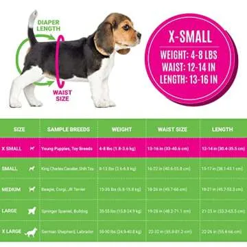 Bodhi Disposable Dog Female Dog Diapers - Super Absorbent, Leak-Proof Pee Wraps - Adjustable Fit, Comfortable Design, Advanced Moisture Control, and Wetness Indicator - Extra Small (20 Count)