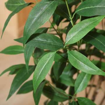 Ferrgoal 5Ft Artificial Eucalyptus Tree for Decor