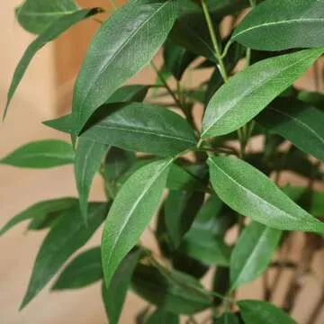 Ferrgoal 5Ft Artificial Eucalyptus Tree for Decor