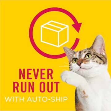 Purina Friskies Gravy Wet Cat Food Variety Pack, 40 Cans