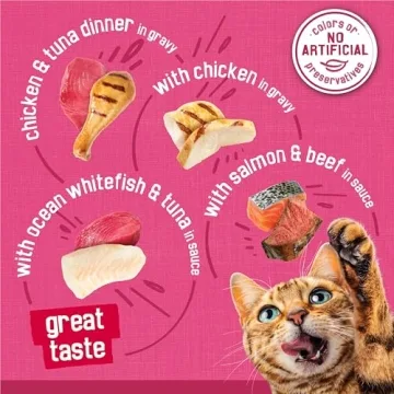 Purina Friskies Gravy Wet Cat Food Variety Pack, 40 Cans