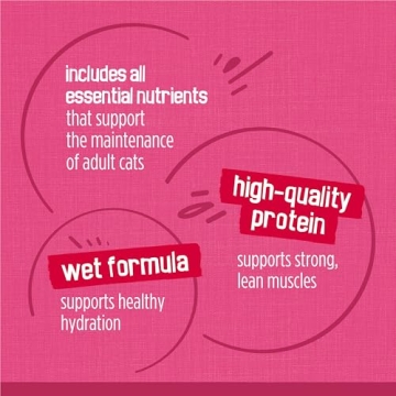 Purina Friskies Gravy Wet Cat Food Variety Pack, 40 Cans