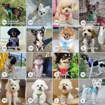 BELLA & PAL Puppy Harness with Leash Set, Dog Harness for Small Dogs No Pull, Dog Leash for Small Dogs, Step in Harness for Extra Small Dogs, Khaki Harness, S