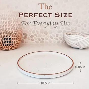 Mora Porcelain Dinner Plate Set - Elegant Durable Safe