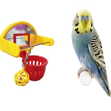 Engaging QBLEEV Bird Basketball Toy for Active Birds