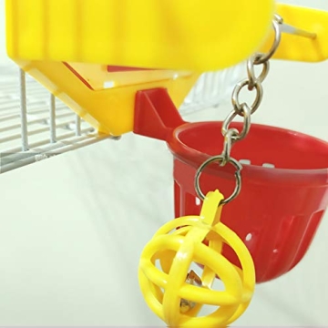 Engaging QBLEEV Bird Basketball Toy for Active Birds