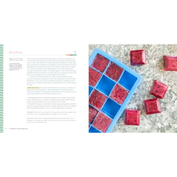 The Best Organic Baby Food Cookbook for All Stages