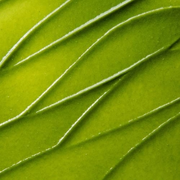 Kate Somerville ExfoliKate Intensive Exfoliating Treatment